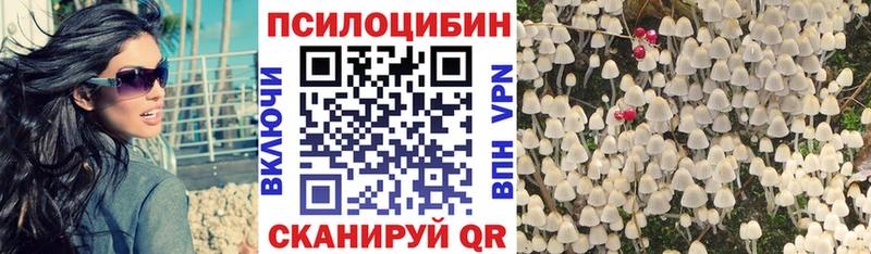 Псилоцибиновые грибы MAGIC MUSHROOMS  площадка какой сайт  Чкаловск 